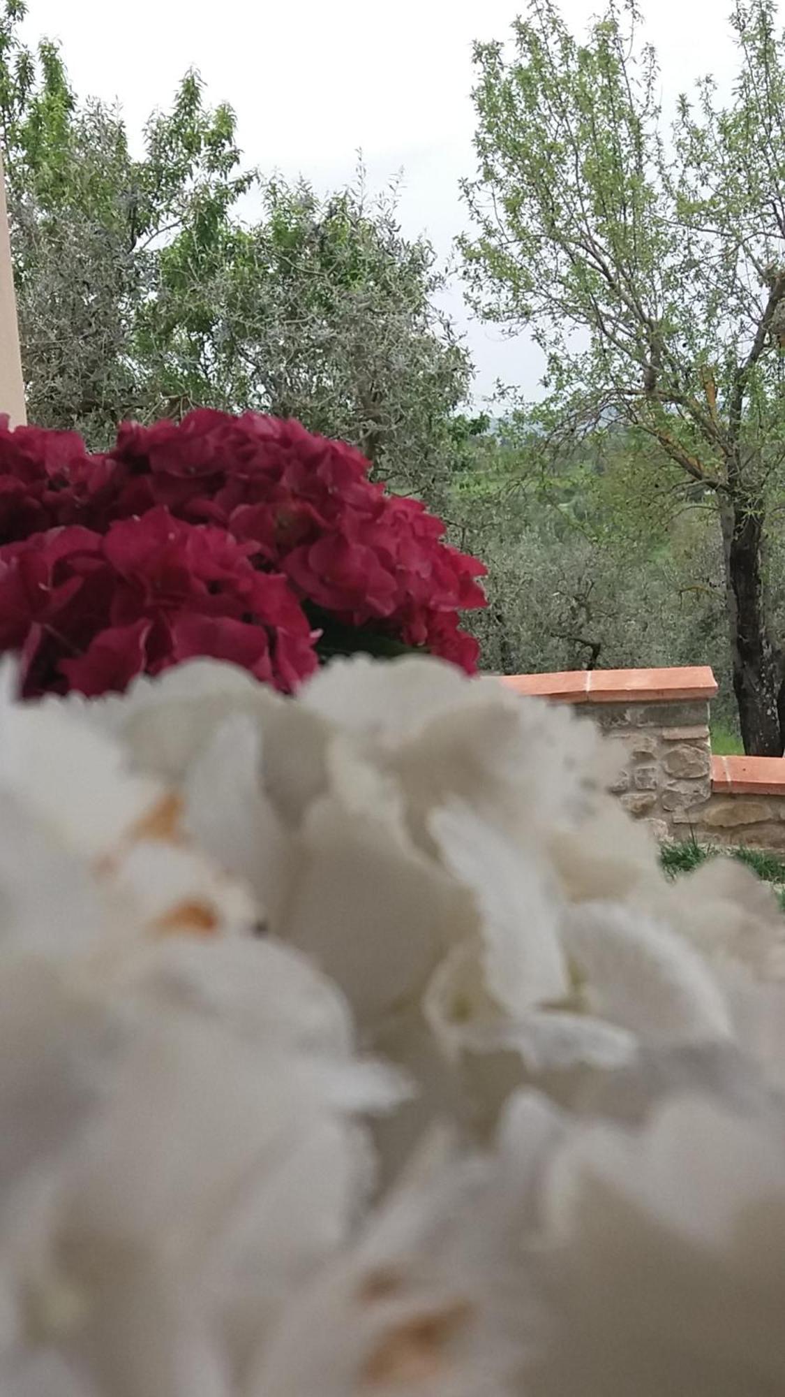 Il Fienile Holiday Home Le Fornacette Dış mekan fotoğraf